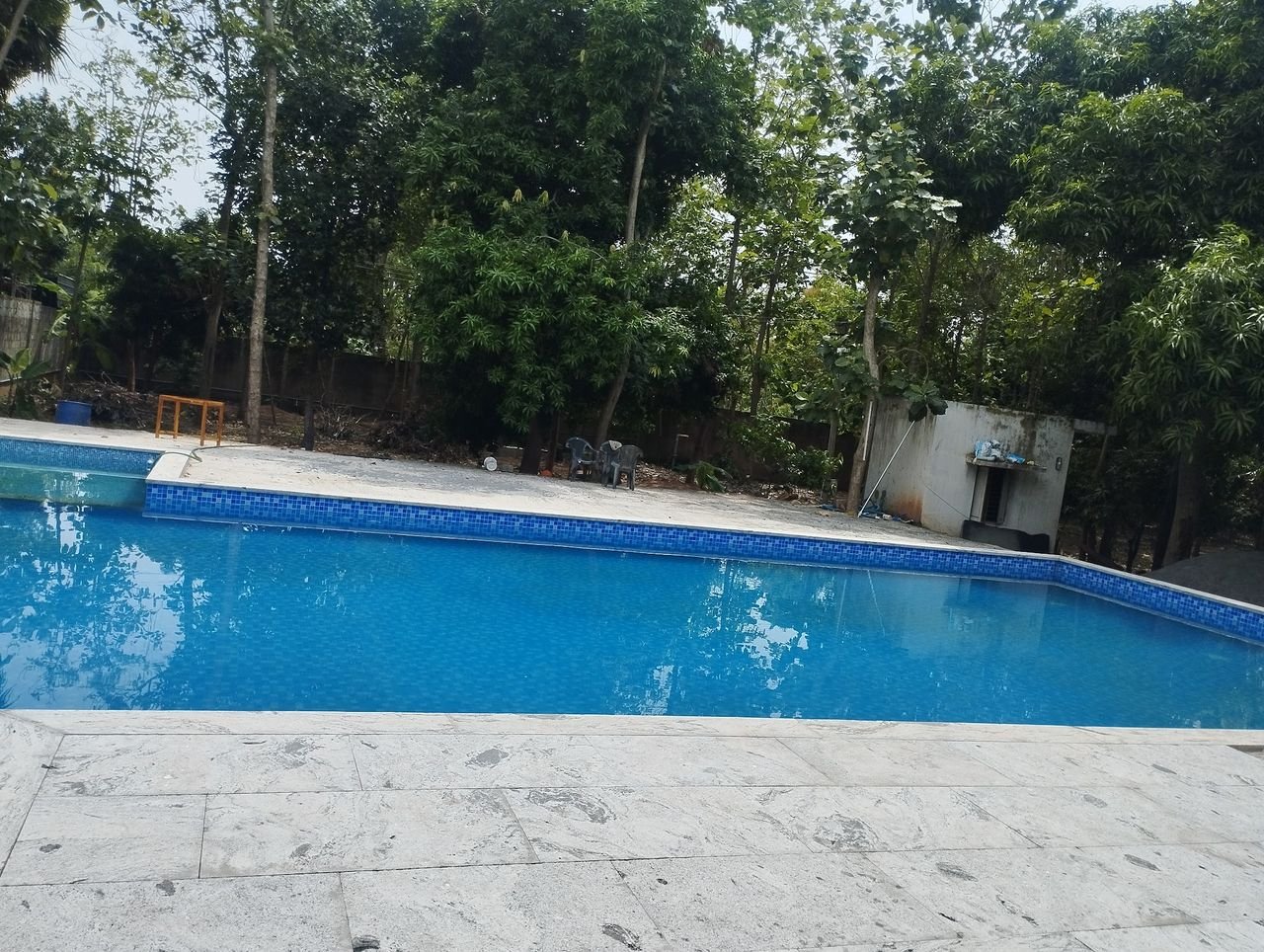 Swimming pool beside the wooded grounds