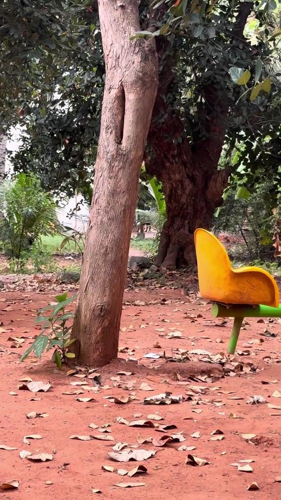 Play equipment on red earth in the shade of the trees